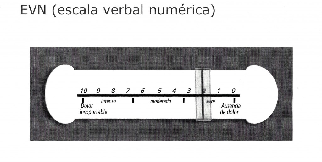 Escala verbal numérica